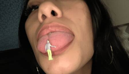 Giantess Miss Mia Dominates & Devours Box Of Shrunk Human Tinies (HD 1080p MP4)