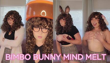 Bimbo Bunny Project