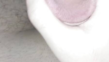 AdamDoni