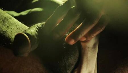 Nice Lights, Nice Dick