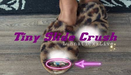 Tiny Slide Crush
