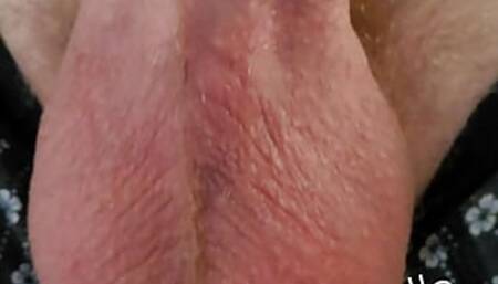 Showing off my gay dick
