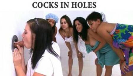 Dicks In Holes: A Compilation