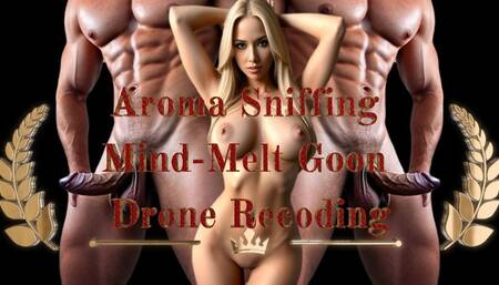 Aroma Sniffing Mind-Melt Goon Drone Recoding! 49 min