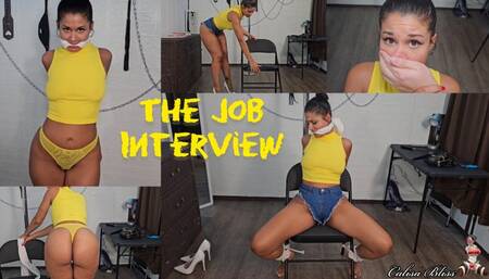 Calisa's Job Interview
