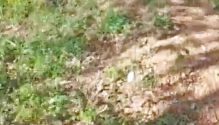 Slut Wife Sneaks Off In The Middle Of The Walk To Suck Off One Of Her Husband's Friends And Can't Resist The Urge To Try New Mil