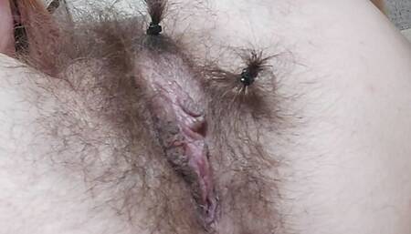 So Hairy and so Playful