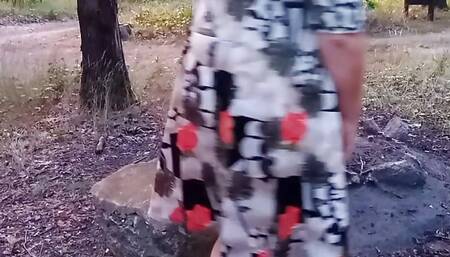 0017 Parking in the forest