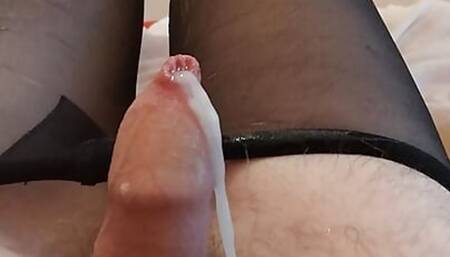 Excited anal plugged sissy in tights cumshot