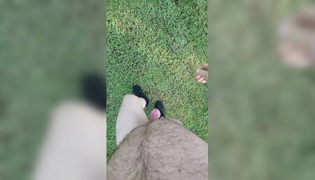 Enjoyed a walk around a new park.