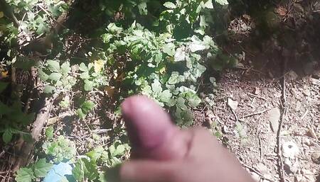 Bayer part 153