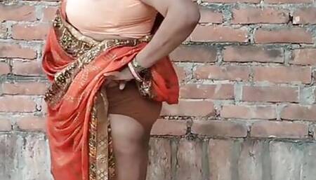 Desi Hot Sin Videos
