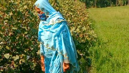 Horni step sis going to cotton picking then she enjoys FUK