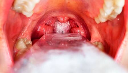 The Ultimate Giantess Experience