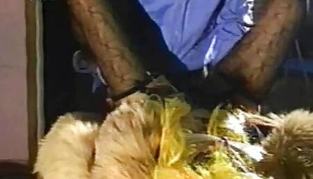 Scandalous! Pornographic Videos Sent On Vhs In The Mail To