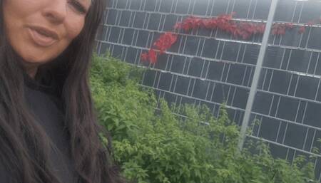 Dein Leben in meinem Brennessel Gehege