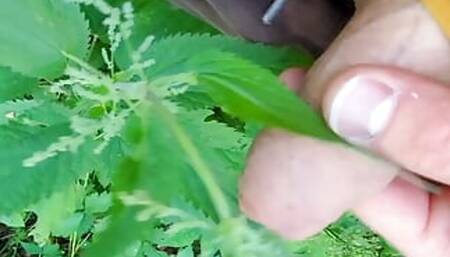 Nature jerk off. Stinging nettle cum