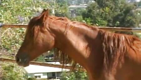 Blonde babe peggs a massive guy with tight asshole outside