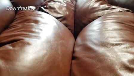 Pillow Top Leather Sofa Humping Until Cum