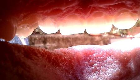 Out and in mouth tour in natural light