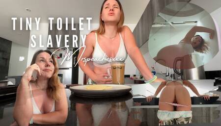 The fart resurrection of a tiny toilet slave Not End