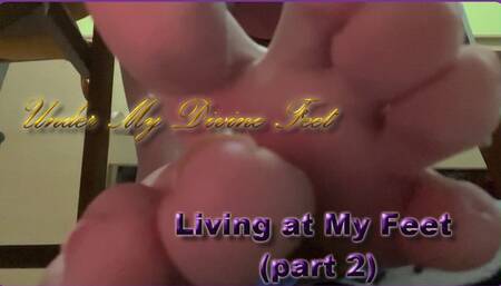 Living at My Feet (part 2)
