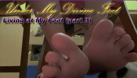 Living at My Feet (part 3)
