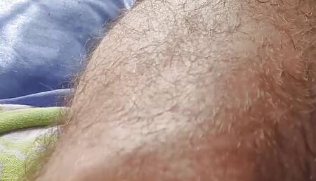 Sweaty furry after a run in the sun.