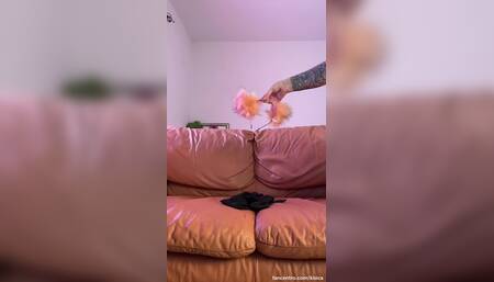 naughty kitty