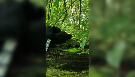 Vlindertje "ontspannen" strippen in het bos met het risico betrapt te worden