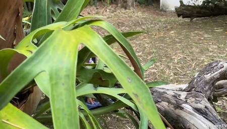 Did you know Rebeca Vega has a kink for nature?