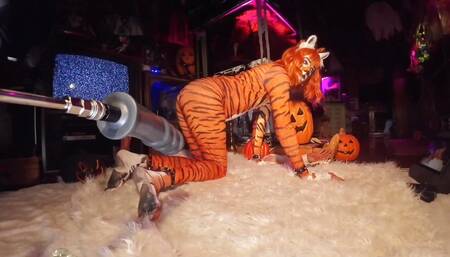 Butt Girl Vs Huge Anal Dildos Cosplay Tigra Pt 1