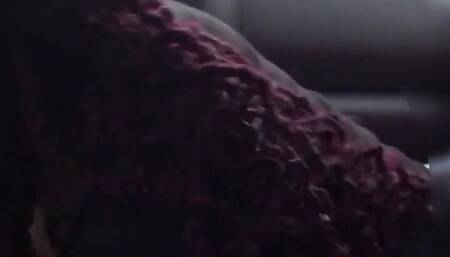 Passionate Dick Sucker