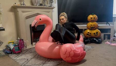 Flamingo cigarette pop