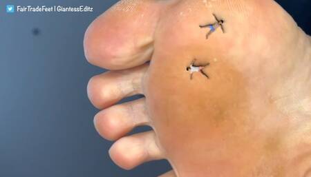 Giantess FairTrade - Tiny Picnic [Part 1]