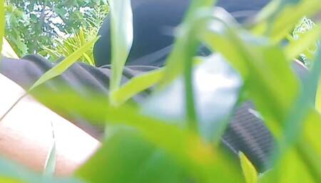 Desi girl,Desi indian college girl outdoor sex video , Asian Desi couple indoor sex hot teen girl in the jungle, dirty women vil