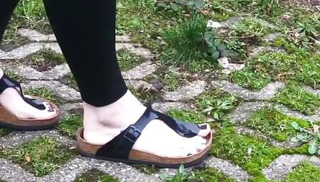 42. Birkenstock Gizeh HD