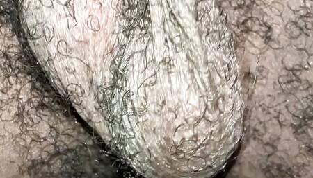 Young hairy ballsack