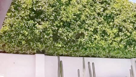 NASTYDADDY Gay Lovers Having Pool Side Hook Up