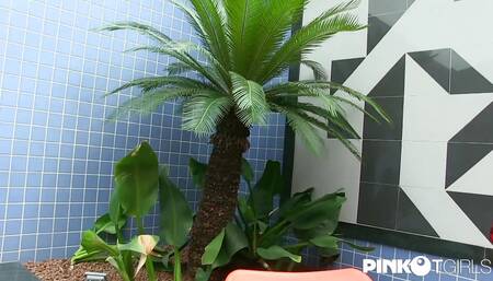 Two shemales and a man know how to give themselves pleasure