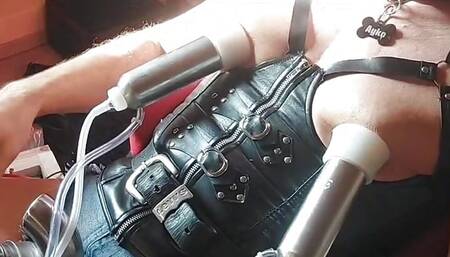 Extreme Nipple Pump Tit Milking PIG