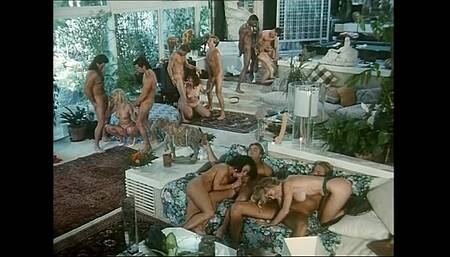 An Orgy of Hairy Pussies and Hairy Cocks