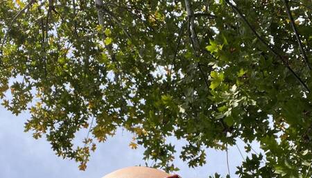 Wet butthole in the sun