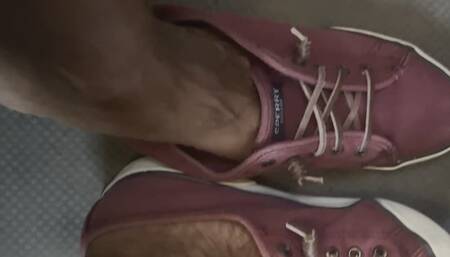 Van Ride Sneaker Reveal of My Veins