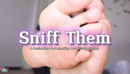 Sniff Them HD