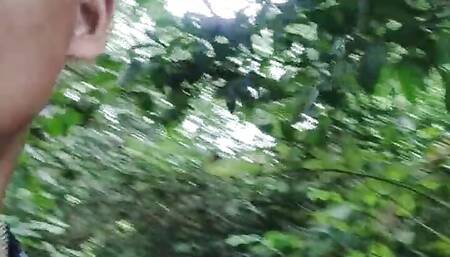 Mountain of the forest