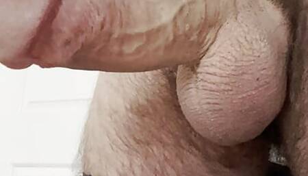 Pantyhose and a hard cock
