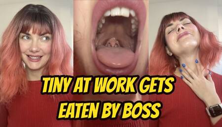 Tiny At Work Gets Eaten By Boss