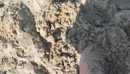 Nice Feet on the Beach