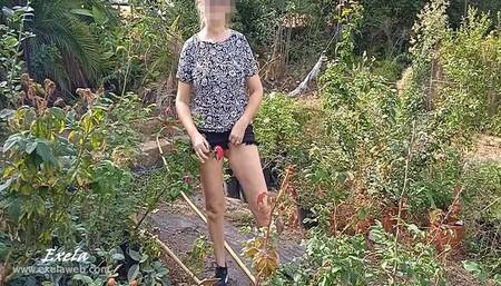 Exela's flashing in a garden center